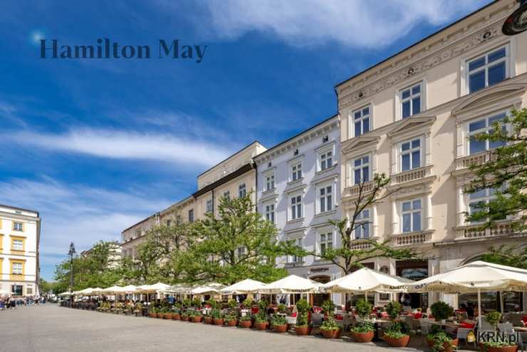 , Kraków, Stare Miasto, ul. Rynek Główny, Lokal użytkowy  do wynajęcia