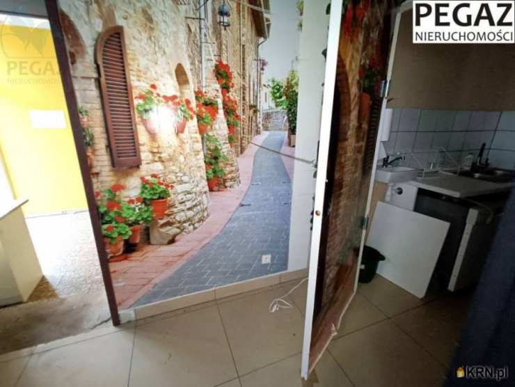 Poznań, Jeżyce/Wola, ul. Lotnictwa Polskiego, Lokal użytkowy  do wynajęcia, 