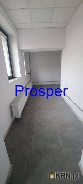 , Sosnowiec, ul. , Lokal użytkowy  do wynajęcia