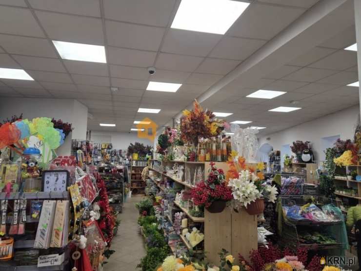 , Kamienna Góra, ul. , Lokal użytkowy  do wynajęcia