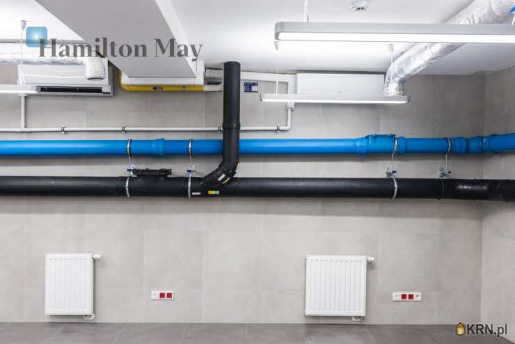 , Lokal użytkowy  do wynajęcia, Kraków, Stare Miasto, ul. św. Filipa