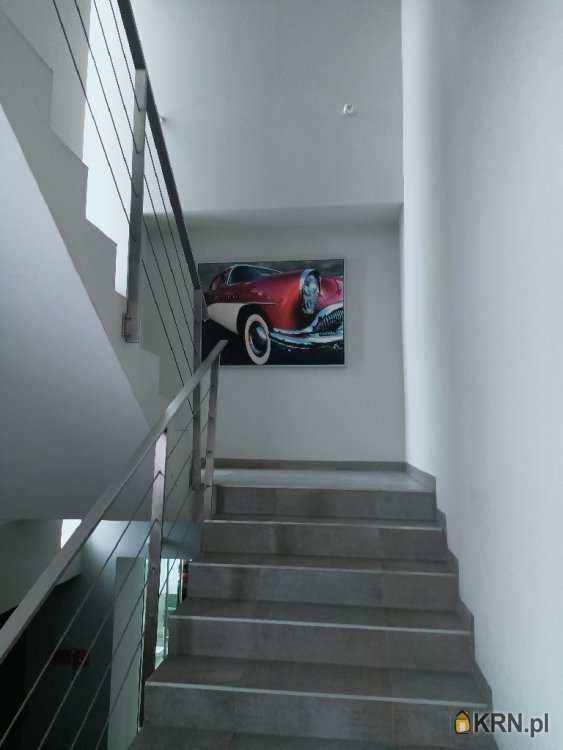 Lokal użytkowy  do wynajęcia, 1 pokojowe, Toruń, Jakubskie Przedmieście, ul. 