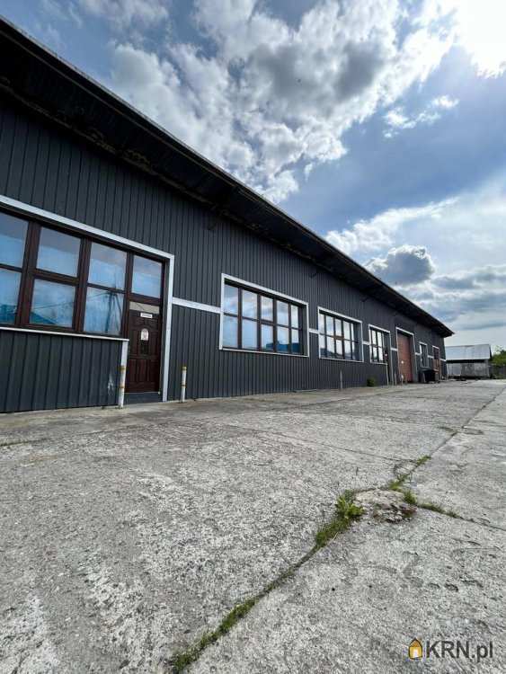Dołęga, ul. , Lokal użytkowy  na sprzedaż, 