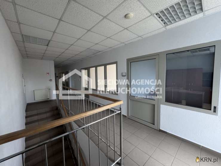 Lokal użytkowy  do wynajęcia, Reda, ul. , 