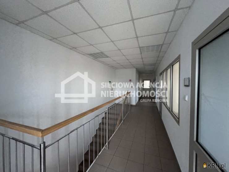 , Reda, ul. , Lokal użytkowy  do wynajęcia