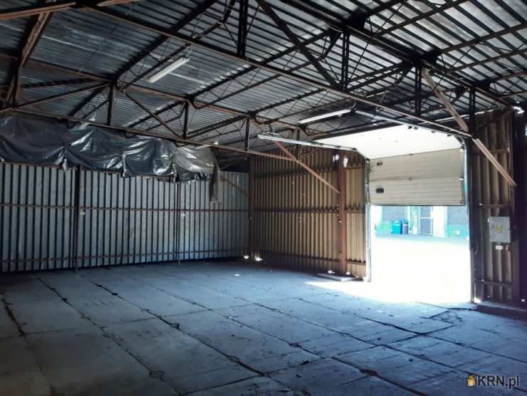 Lokal użytkowy  do wynajęcia, , Poznań, Jeżyce, ul. Druskienicka