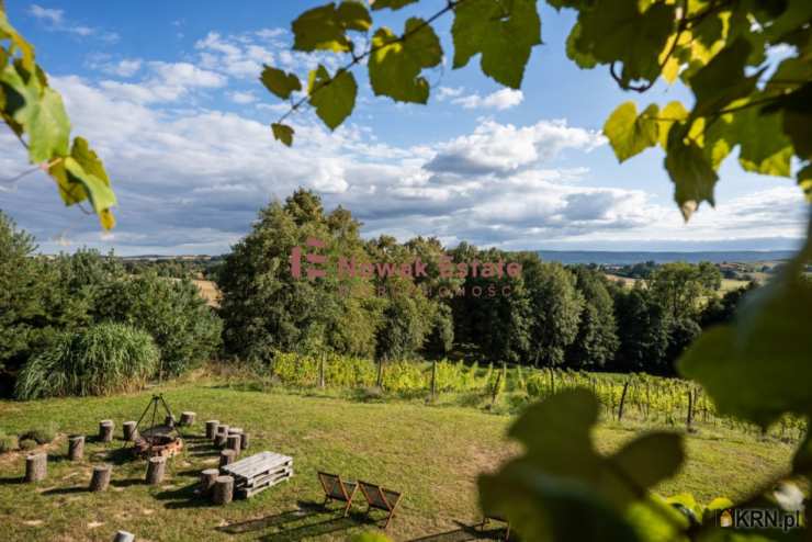 Lokal użytkowy  na sprzedaż, , Kielce, ul. Rynek