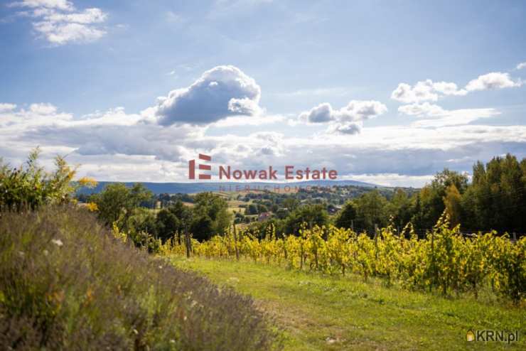 Kielce, ul. Rynek, Lokal użytkowy  na sprzedaż, 