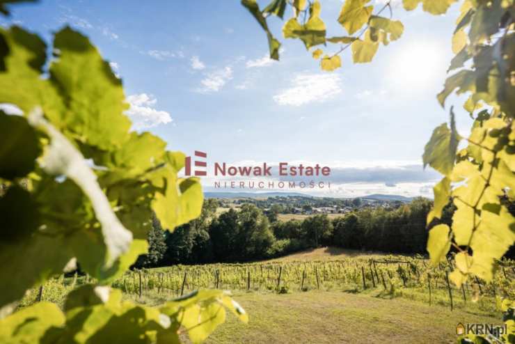 Kielce, ul. Rynek, , Lokal użytkowy  na sprzedaż