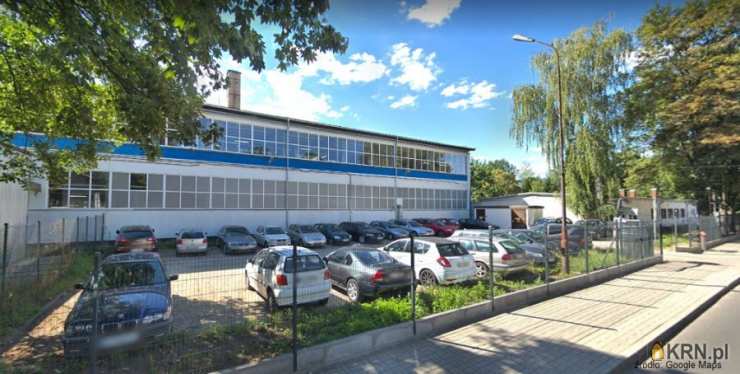 Jelenia Góra, Cieplice Śląskie-Zdrój, ul. Dworcowa, 10 pokojowe, Lokal użytkowy  na sprzedaż