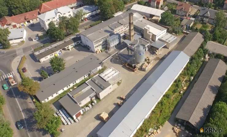 10 pokojowe, Jelenia Góra, Cieplice Śląskie-Zdrój, ul. Dworcowa, Lokal użytkowy  na sprzedaż