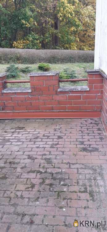 Gdynia, ul. , , Lokal użytkowy  do wynajęcia