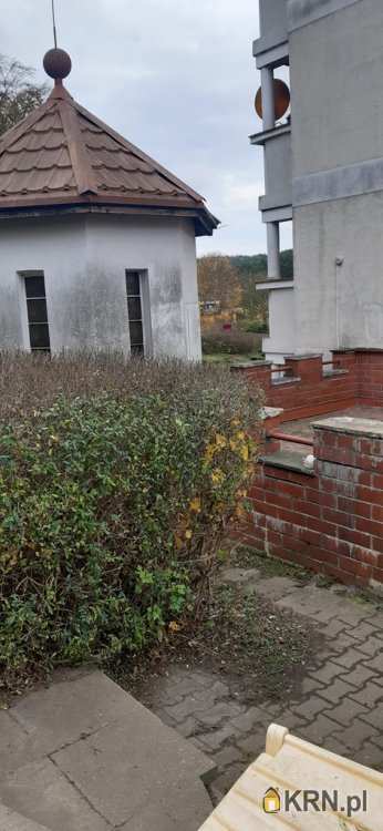 , Lokal użytkowy  do wynajęcia, Gdynia, ul. 