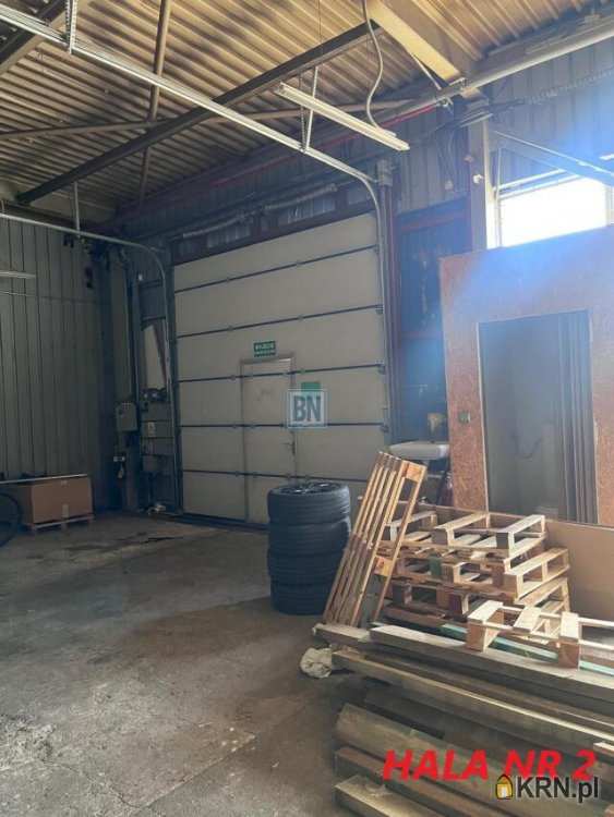 Lokal użytkowy  do wynajęcia, , Katowice, ul. 