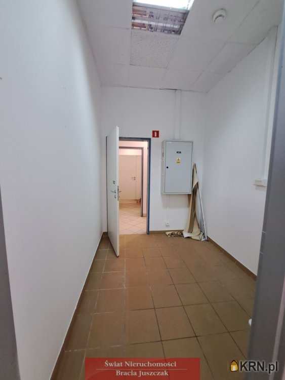 , Wrocław, Stare Miasto, ul. , Lokal użytkowy  do wynajęcia