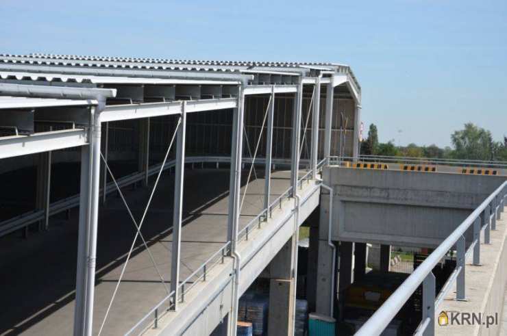 , Poznań, Nowe Miasto, ul. , Lokal użytkowy  do wynajęcia