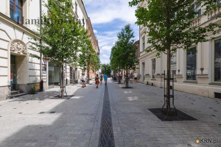 Hamilton May, Lokal użytkowy  na sprzedaż, Kraków, Stare Miasto, ul. Krupnicza