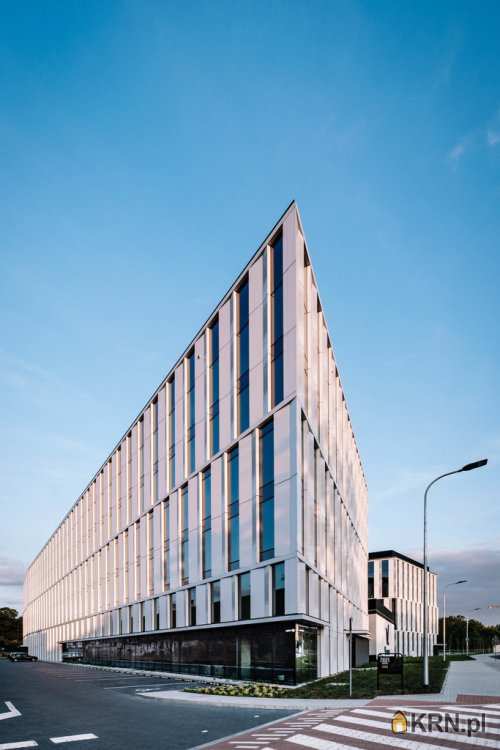 Kraków, ul. , Lokal użytkowy  do wynajęcia, 