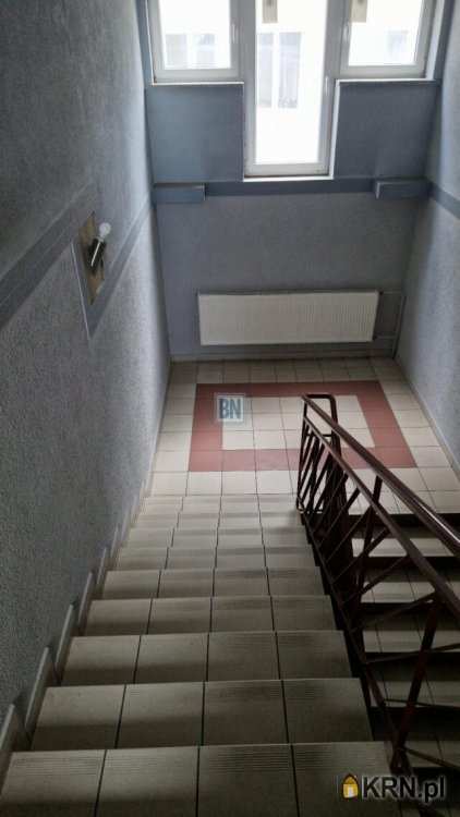 Siemianowice Śląskie, ul. , , Lokal użytkowy  do wynajęcia