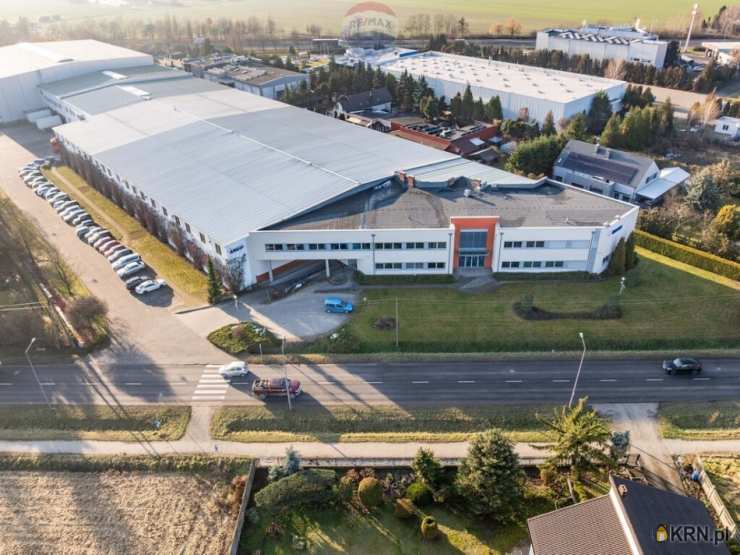 , Lokal użytkowy  na sprzedaż, Poznań, Nowe Miasto/Szczepankowo, ul. 