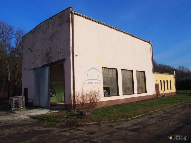 Cieślin, ul. , Lokal użytkowy  do wynajęcia, 