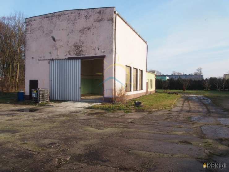 Cieślin, ul. , , Lokal użytkowy  do wynajęcia