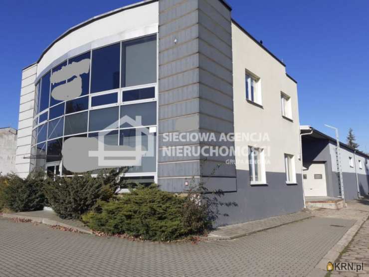 Lokal użytkowy  do wynajęcia, , Pruszcz Gdański, ul. 