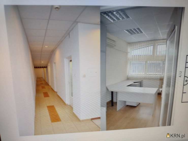 Lokal użytkowy  do wynajęcia, Toruń, Bydgoskie Przedmieście, ul. , 7 pokojowe