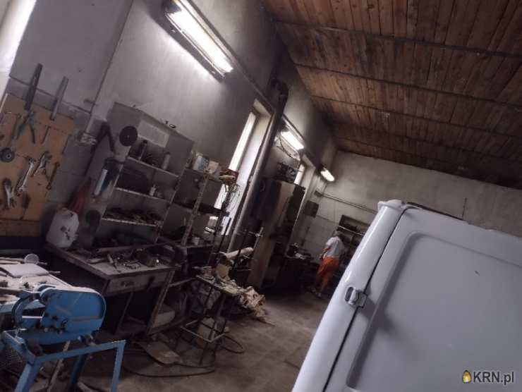 Lokal użytkowy  do wynajęcia, Toruń, Czerniewice, ul. , 3 pokojowe