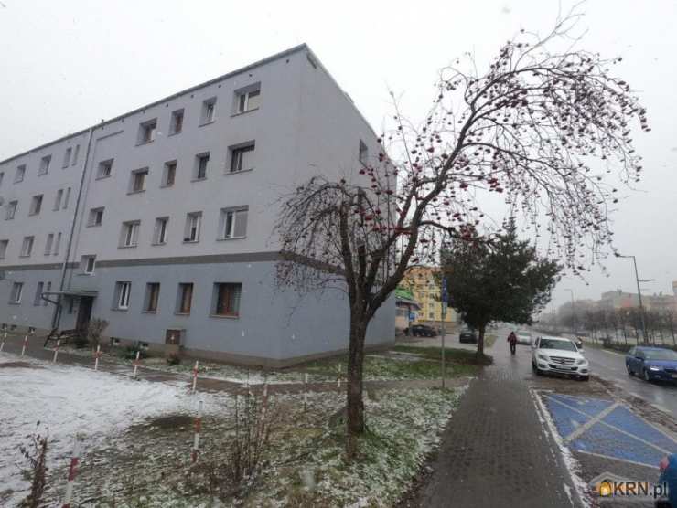 , Lokal użytkowy  do wynajęcia, Dąbrowa Górnicza, Reden, ul. 