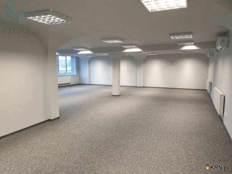 Poznań, Grunwald, ul. Kopanina, Lokal użytkowy  do wynajęcia, 