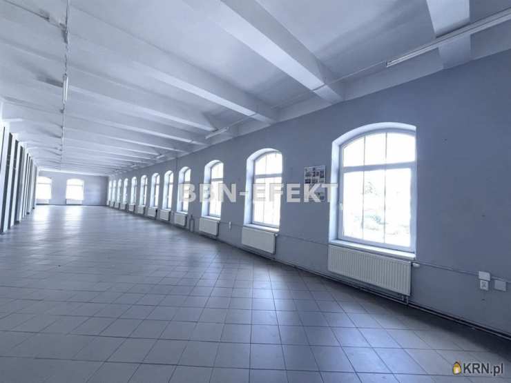 , Lokal użytkowy  do wynajęcia, Bielsko-Biała, ul. 