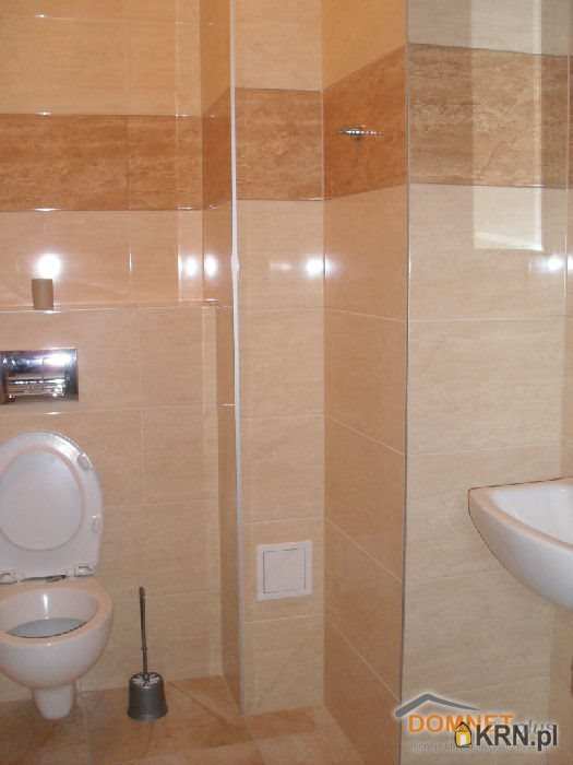 Katowice, ul. , Lokal użytkowy  do wynajęcia, 