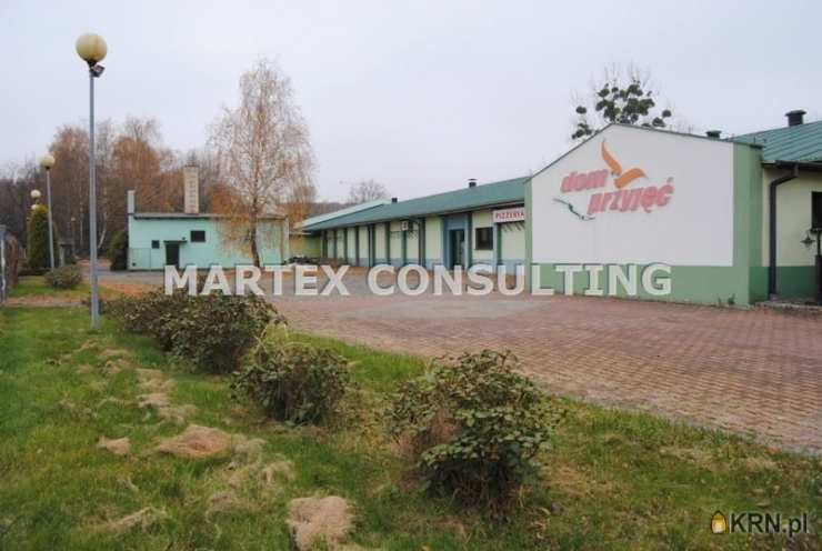 Lokal użytkowy  na sprzedaż, Wodzisław Śląski, ul. , 