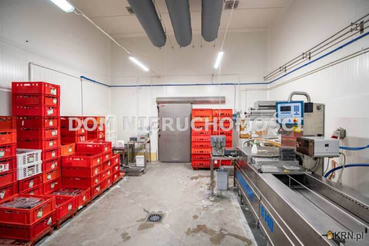 Krokowo, ul. , Lokal użytkowy  na sprzedaż, 