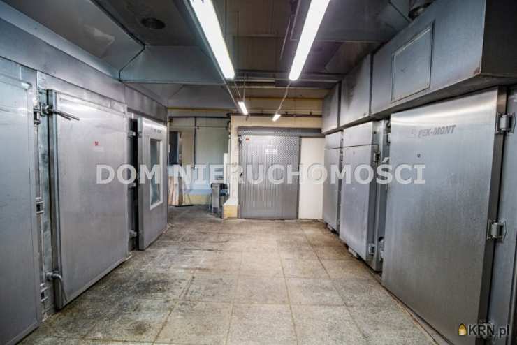 DOM Nieruchomości, Lokal użytkowy  na sprzedaż, Krokowo, ul. 