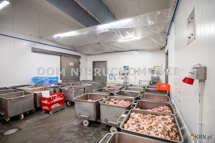 DOM Nieruchomości, Lokal użytkowy  na sprzedaż, Krokowo, ul. 