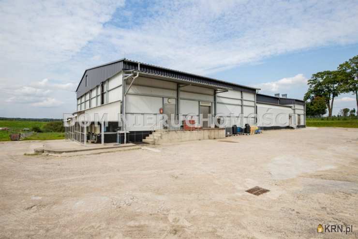 , Krokowo, ul. , Lokal użytkowy  na sprzedaż