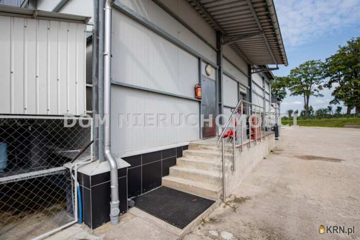 DOM Nieruchomości, Lokal użytkowy  na sprzedaż, Krokowo, ul. 