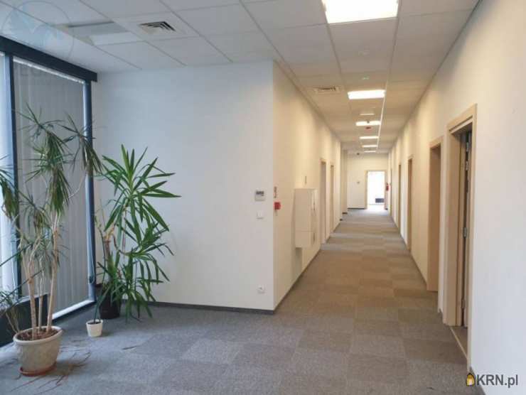, Lokal użytkowy  do wynajęcia, Poznań, Grunwald, ul. Górecka