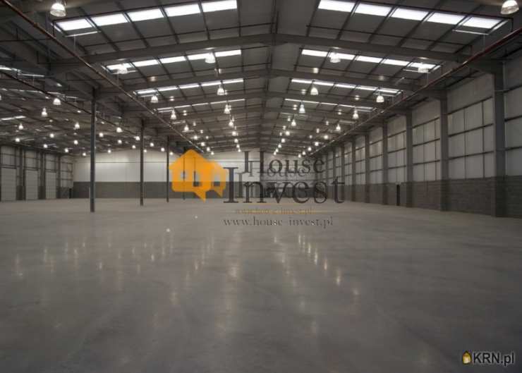 Lokal użytkowy  do wynajęcia, 8 pokojowe, Wrocław, ul. 