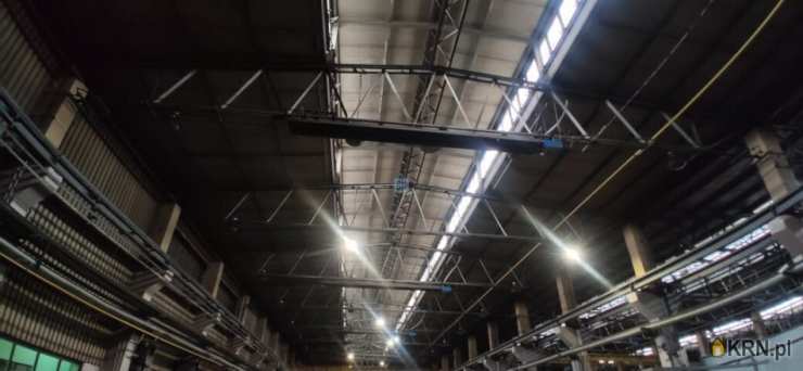 pow. Zawierciański, ul. , Lokal użytkowy  do wynajęcia, 30 pokojowe