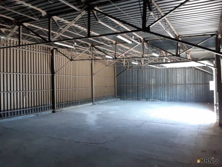 Lokal użytkowy  do wynajęcia, Poznań, Jeżyce, ul. Druskienicka, 