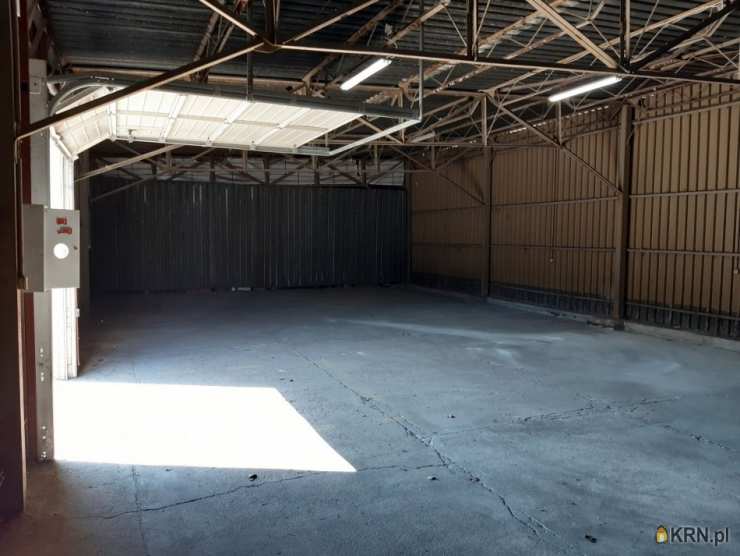 Lokal użytkowy  do wynajęcia, , Poznań, Jeżyce, ul. Druskienicka