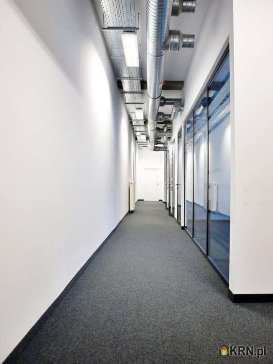 , Lokal użytkowy  do wynajęcia, Wrocław, Stare Miasto, ul. 