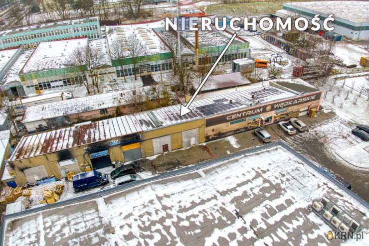 Zielona Góra, ul. , , Lokal użytkowy  do wynajęcia