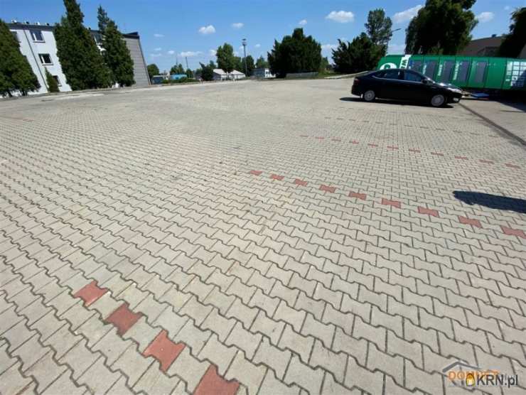 Chorzów, Chorzów Batory, ul. , Lokal użytkowy  do wynajęcia, 