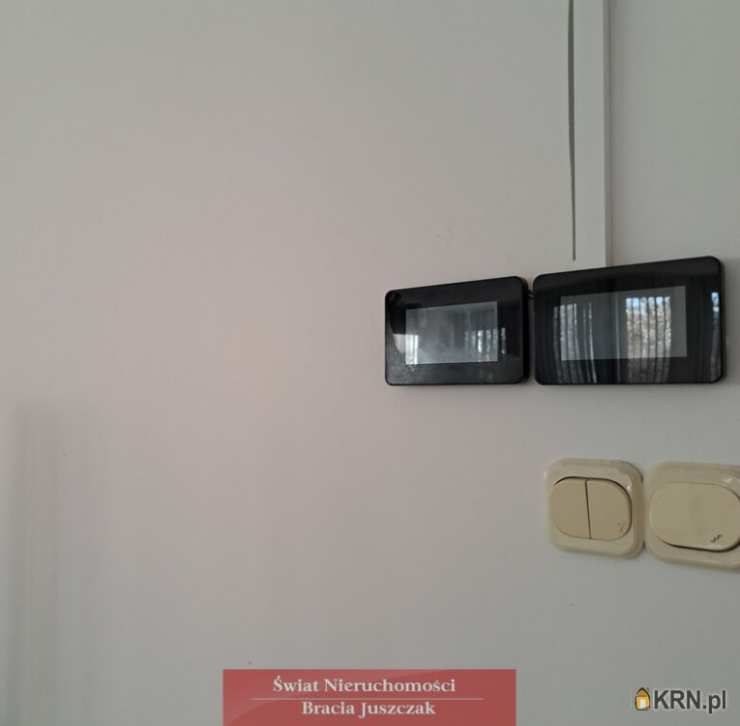 Wrocław, Śródmieście, ul. , 7 pokojowe, Lokal użytkowy  do wynajęcia