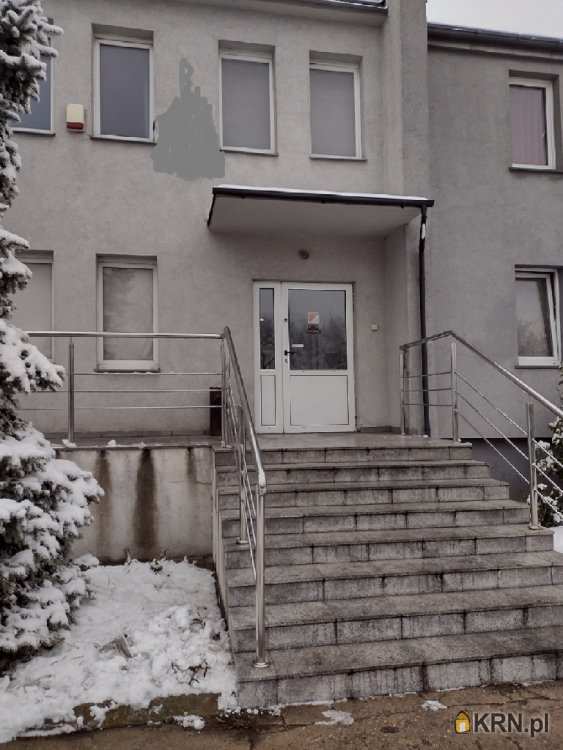 Lokal użytkowy  do wynajęcia, Toruń, Jakubskie Przedmieście, ul. , 1 pokojowe