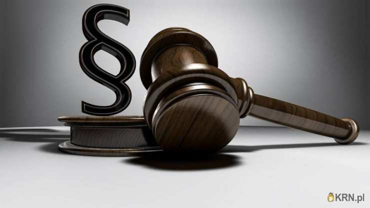 Lokal użytkowy  na sprzedaż, Domaszewnica, ul. , 